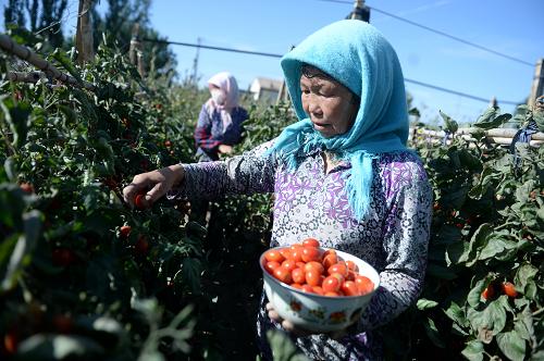 �����̨��������ũҵ����Ч��3