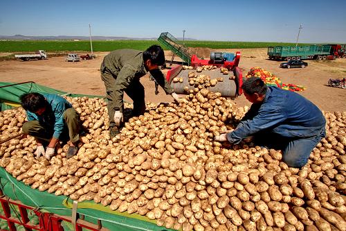 �ӱ���������Ķ����������