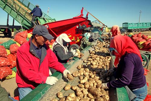 �ӱ�ʡ�żҿ��������������Ĺ����ڷּ���������9��7���㣩��