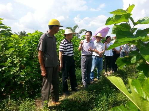 ������ɽ����ʵ��ũ���� ��չ��ɣ��ҵ