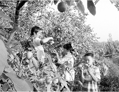 ���ϣ�����԰�ﻰ����