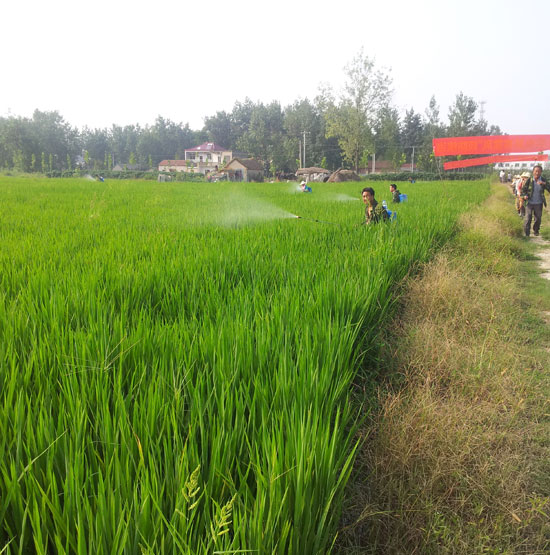 ���������Ѹ����������е���һ���������߳�