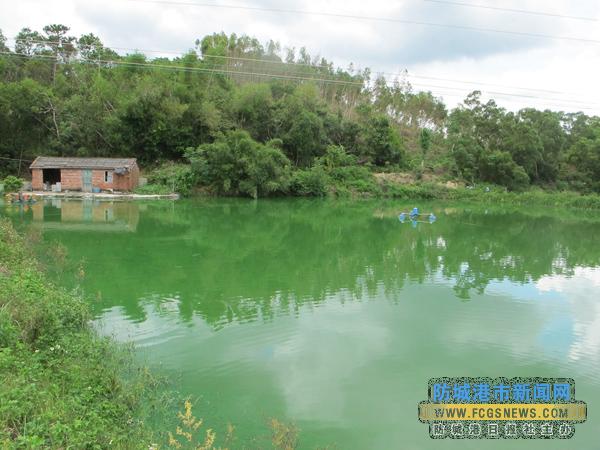 �������Ǹۣ���ֳ ����һ����������Դ��