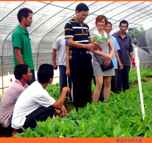 �����ֱ������㽶���༼�� ��ũ����������