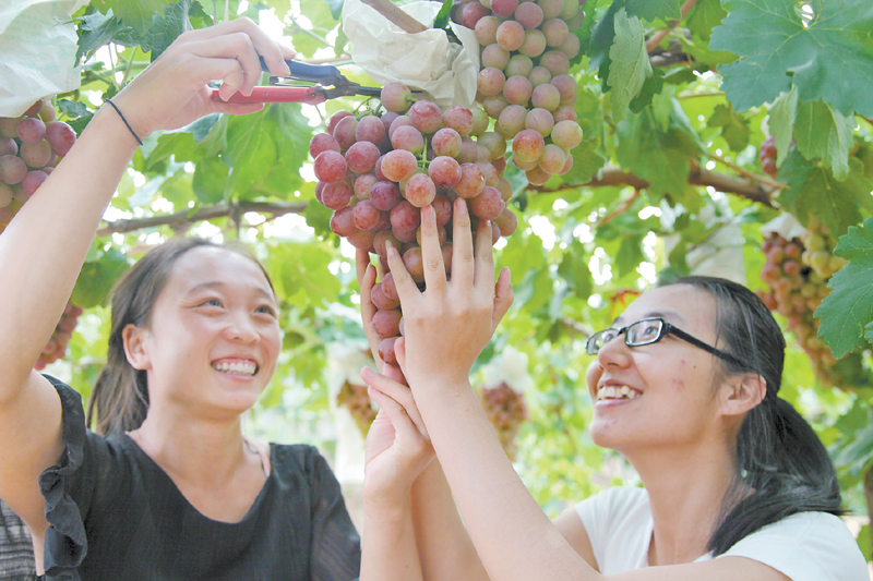 ���ɹţ��ں������ѵĽ�Ե֮·