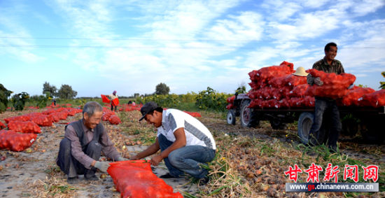 ������������Ķ���ϲ�����