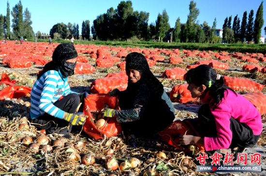 9��10�գ��������������紨����������շ��յ���С�