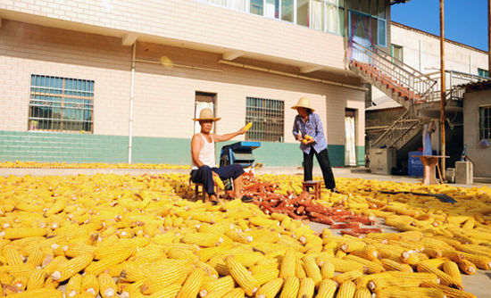 �������15.63��Ķ����ϲ�����