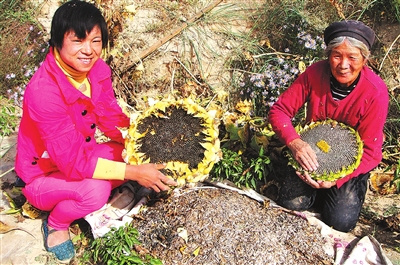 ���������ز���������տ������