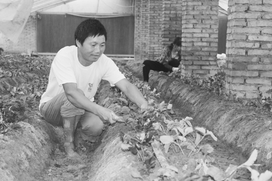 ��������Ͽ��С��ݮ ���ҵ