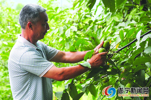 �Ĵ�����������չ���Ҳ�ҵ��ũ���ռ�ʵ