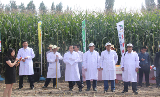 ������305������������Ʒ���ֳ���Ħ���ڸ�����Ҵ��������կ��¼Ҷմ��ٿ�