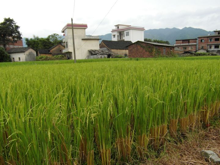 ���������س���������������������ϲ��