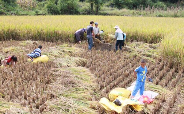 ����¡�����Ⱥ���յ�æ