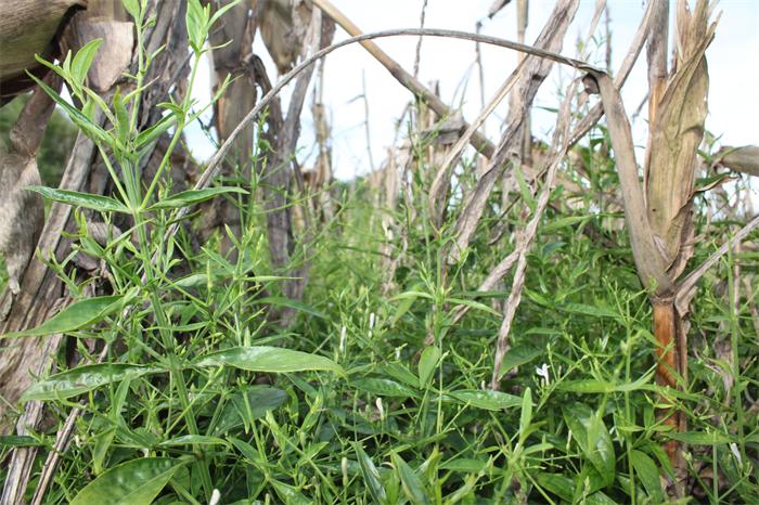 ������۸���������������ϲ�˷�������