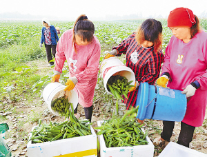 ������������ֲ���������ֻ���� ���뾩���ȵس���