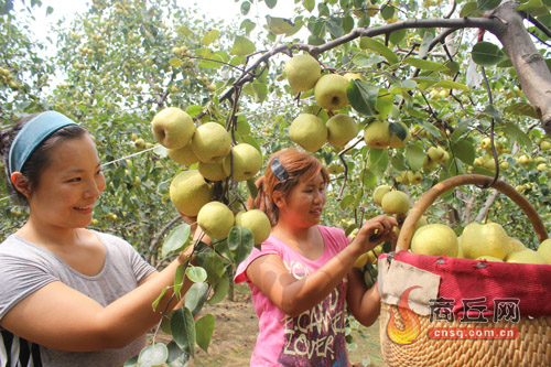 ��������������̬��԰���ɫ����½������