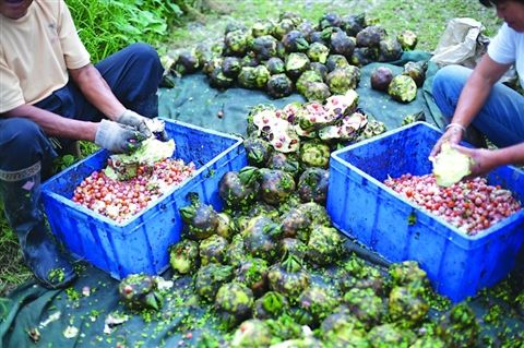 ݣͷ130Ԫһ ̾ԽԽԲ