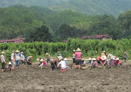 ���������޷�����ɽ����ϲ�¸�