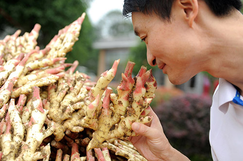 9��12�գ�һλ�����߱�ͭ��׽��Ķ�����ζ��������