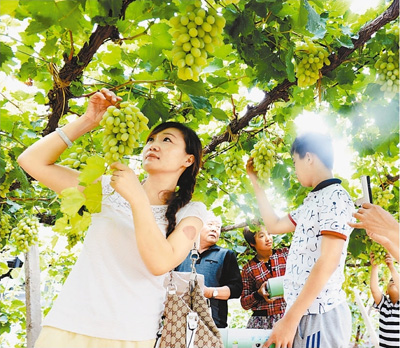 �ӱ������ط�չ���������Ѳ�ҵ