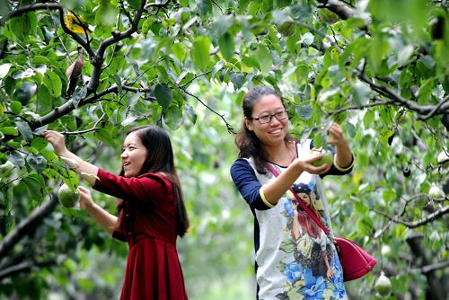 �ӱ�ʡ�ȷ��У�������ժѩ����