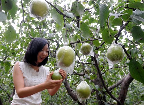 �ӱ�ʡ�ȷ��У�������ժѩ����2