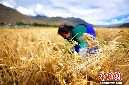 ����ӭ���������ռ�