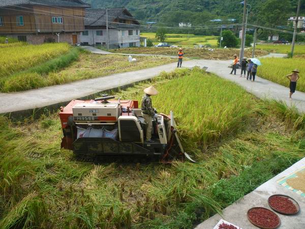 ������ʤ��ˮ�����ճ���ͷ �﹡�Ⱥ��ֹ���