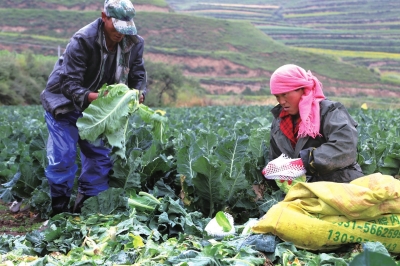 ���������´�ũ�������һ���ڵ������