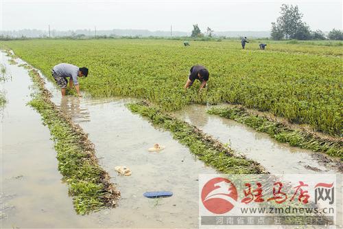 ��������ũ�����ջ���