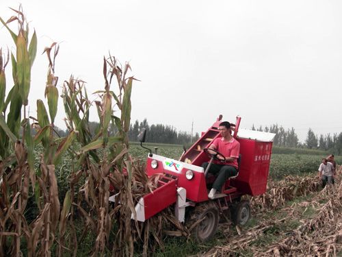 �������������ս�Ͷ��5000̨���׻�