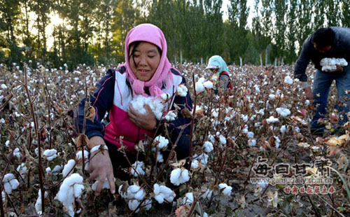 �����Ȫ��������Ķ�޻�ϲ�����