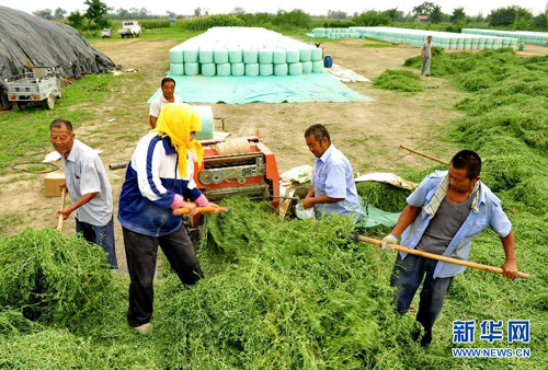 ӱ裺μֳũ¸¡ׯڡ2