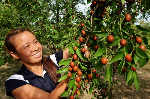 916գӱʡͷũڲժ˿С档