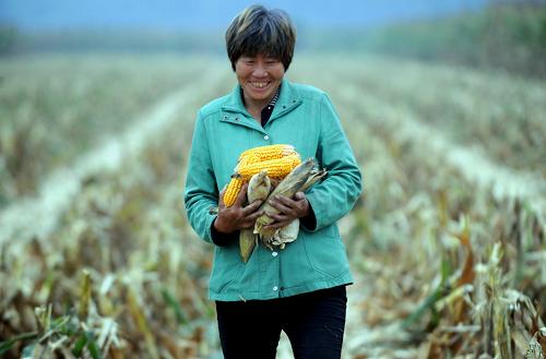 916գںӱʡİؼڹһλũջס