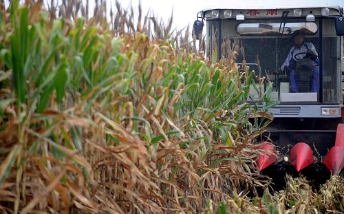 916գںӱʡİؼڹһλũʻոջס