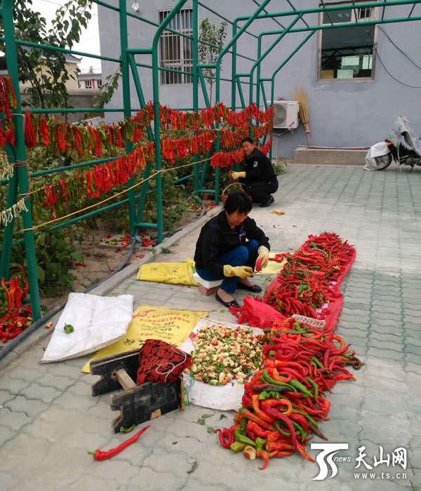 �½���ľ�����ر�ͥ������ϲ�����