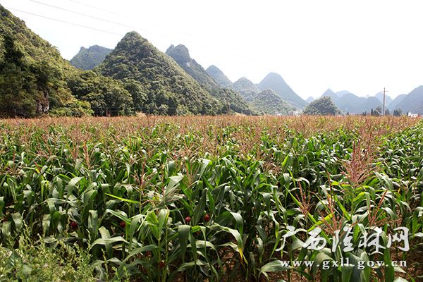 ¡������Ҵ������������ַ�������