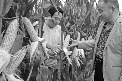 �����ڻ��������硰�߲�������߲�