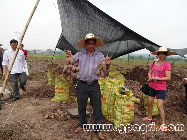 ������ƽ���±�����Ķ�����߲�����