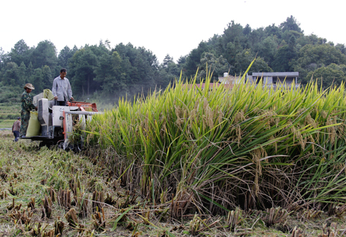 �����ϵ��ذ�Ķ������Ķ��ǧ���﹥����Ŀͨ��ר��������