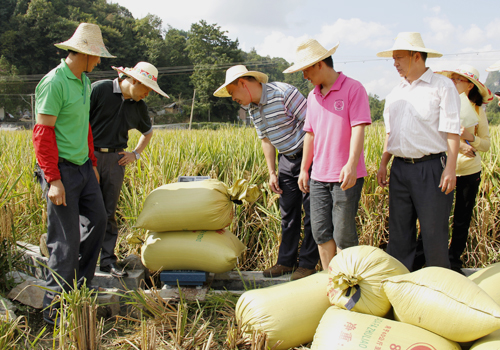 �����ϵ��ذ�Ķ������Ķ��ǧ���﹥����Ŀͨ��ר��������2