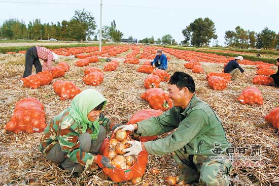 ��������4��Ķ���ϲ�����