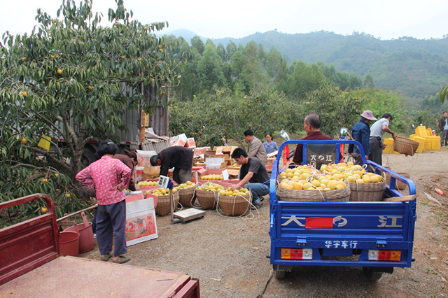 ��������ţ������������ʱ