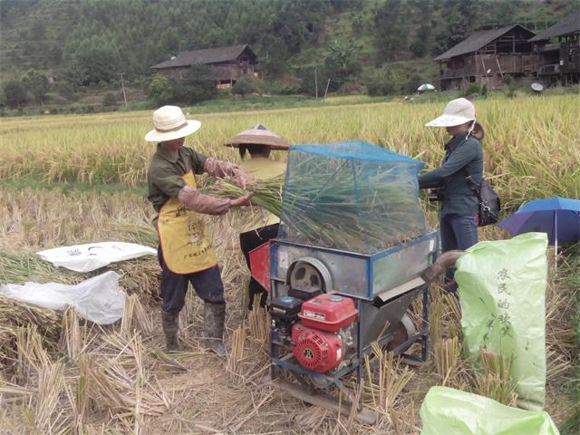 ������ʤư���򳬼���ʾ��Ƭ����������