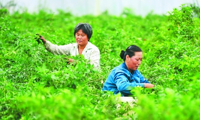 ���շ����ط����������ժ����