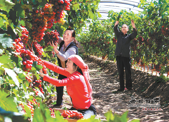 ���ࣺ���Ѳ�ҵ��Ϊ������ũ�徭�÷�չ��������