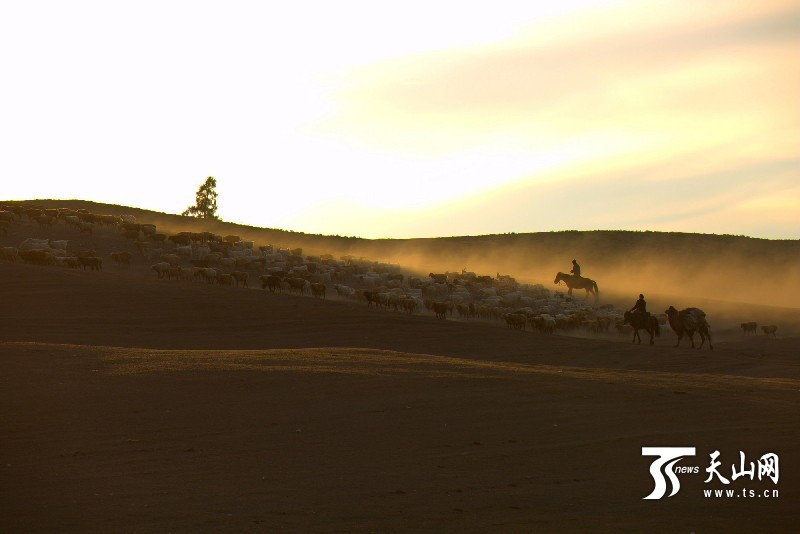 н®¹þ°ÍºÓÏØ¼¸Ê®ÍòÍ·ÉüÐó´óת³¡2