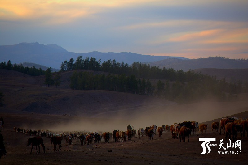 н®¹þ°ÍºÓÏØ¼¸Ê®ÍòÍ·ÉüÐó´óת³¡3